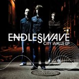 ENDLESS WAVE
