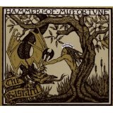 HAMMERS OF MISFORTUNE