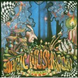 MAGIC MUSHROOM BAND