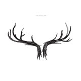 HOULE MARC HOULE MARC