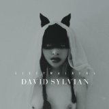 SYLVIAN DAVID