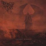 REVELATIONS OF RAIN