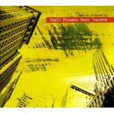 SMALL FLOWERS CRACK CONCRETE