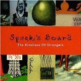SPOCKS BEARD