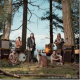 WILD ORCHID CHILDREN WILD ORCHID CHILDREN