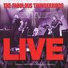 FABULOUS THUNDERBIRDS