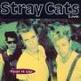 STRAY CATS