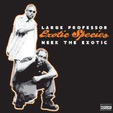 LARGE PROFESSOR