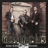 HESSEN TEDS