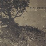 GREY DATURAS