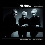 MEADOW