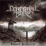 CEREBRAL BORE