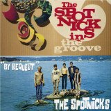 SPOTNICKS