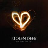 STOLEN DEER