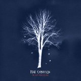 PIXIE CARNATION