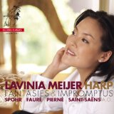 MEIJER LAVINIA MEIJER LAVINIA