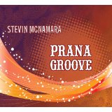 McNAMARA STEVIN