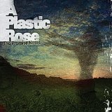 A PLASTIC ROSE