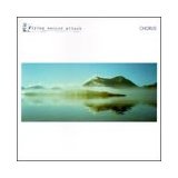 FLYING SAUCER ATTACK