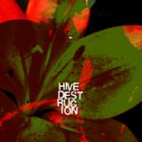 HIVE DESTRUCTION