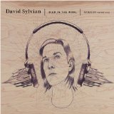 SYLVIAN DAVID