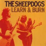 SHEEPDOGS