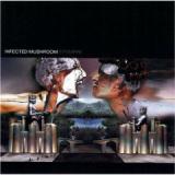 INFECTED MUSHROOM
