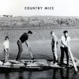COUNTRY MICE