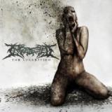 INGESTED