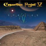 CONSORTIUM PROJECT