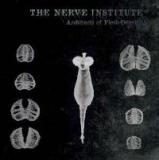 NERVE INSTITUTE
