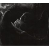 ADVERSARIAL ADVERSARIAL