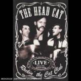 HEAD CAT