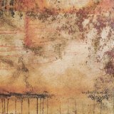 WRATH OF THE WEAK WRATH OF THE WEAK