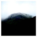 FREEMAN DANIEL THOMAS