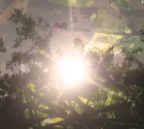 KARNAK TEMPLES KARNAK TEMPLES