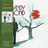 DESMOND ANDY