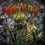 CARNALITY