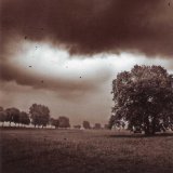 BRINGING DOWN BROADWAY