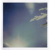NATIONAL FROST