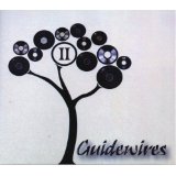 GUIDEWIRES