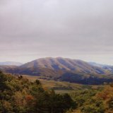 DIRTY PROJECTORS + BJORK DIRTY PROJECTORS + BJORK