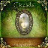 CICCADA