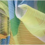 FLUEGEL ROMAN FLUEGEL ROMAN