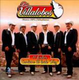 VILLALOBOS VILLALOBOS