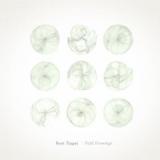 TEAGUE RYAN TEAGUE RYAN