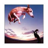GILBERT PAUL GILBERT PAUL