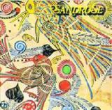 SANDROSE