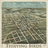THIEVING BIRDS