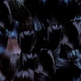 TYME X TUJIKO TYME X TUJIKO